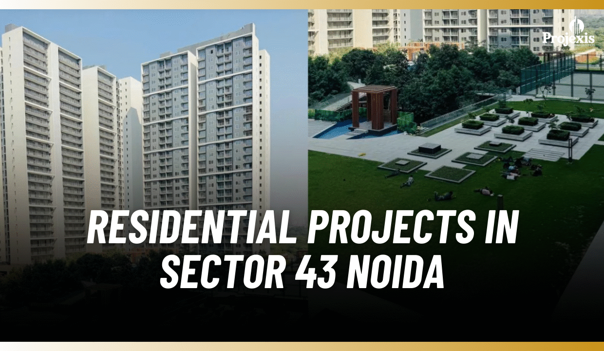 Residential Projects in Sector 43 Noida